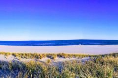 location_and_area_009