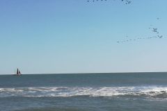 location_and_area_017