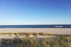 location_and_area_018