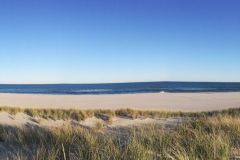 location_and_area_019